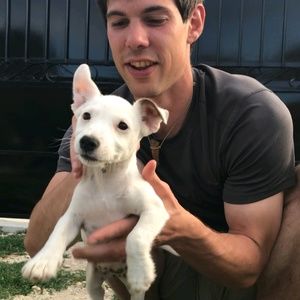 Meet your Posher, Peter